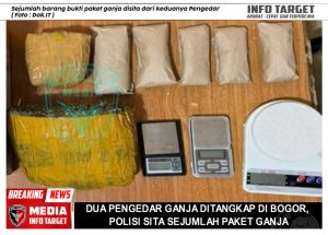 Dua Pengedar Ganja Ditangkap di Bogor, Polisi Sita Sejumlah Paket Ganja