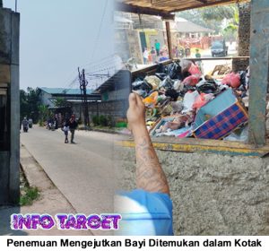 Penemuan Mengejutkan Bayi Ditemukan dalam Kotak di Tempat Pembuangan Sampah di Perbatasan Sukabumi-Bogor