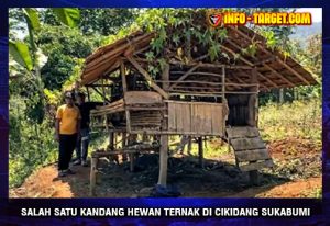 Warga Sukabumi Dilanda Ketegangan, Macan Tutul Kembali Teror Kandang Ternak