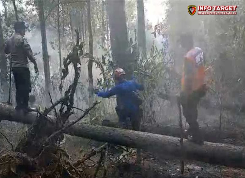 Api Mengamuk di Lahan HGU PTPN Nyalindung Sukabumi, Petugas dan Warga Bergotong Royong Padamkan Kebakaran