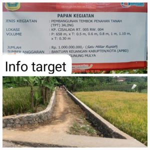 DESA GUNUNG MULYA WUJUDKAN PEMBANGUNAN JALAN DARI DANA BANTUAN KEUANGAN